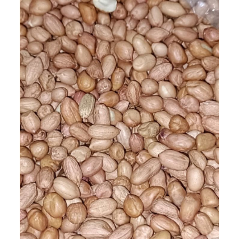 

KACANG TANAH SUPER 1KG
