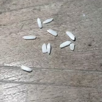 

beras super 10 butir viral