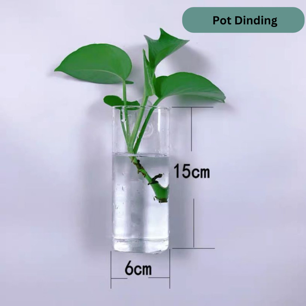 Pot tanaman air tempel di dinding, vas bunga kaca dinding vertikal garden tinggi 15cm pot kaca