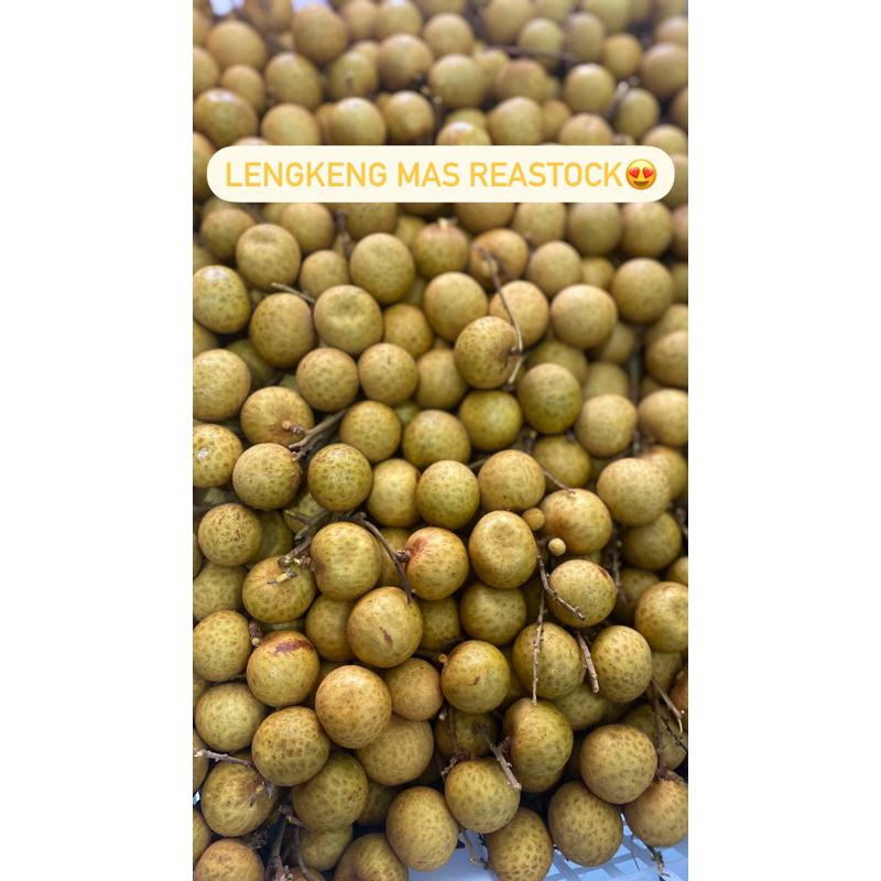

lengkeng 1 kg
