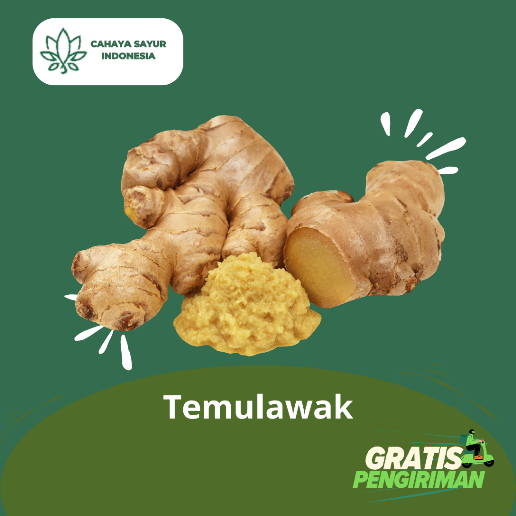 

Temulawak Segar 1Kg + Gratis Ongkir