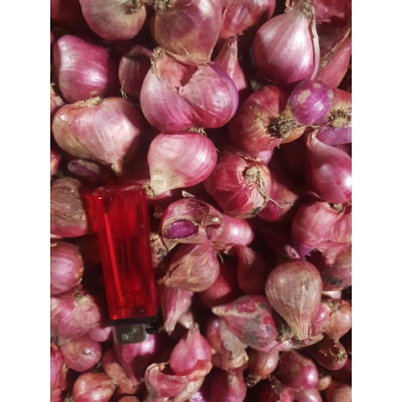 

BAWANGMERAH SUPER!! LOKAL KERING 1KG