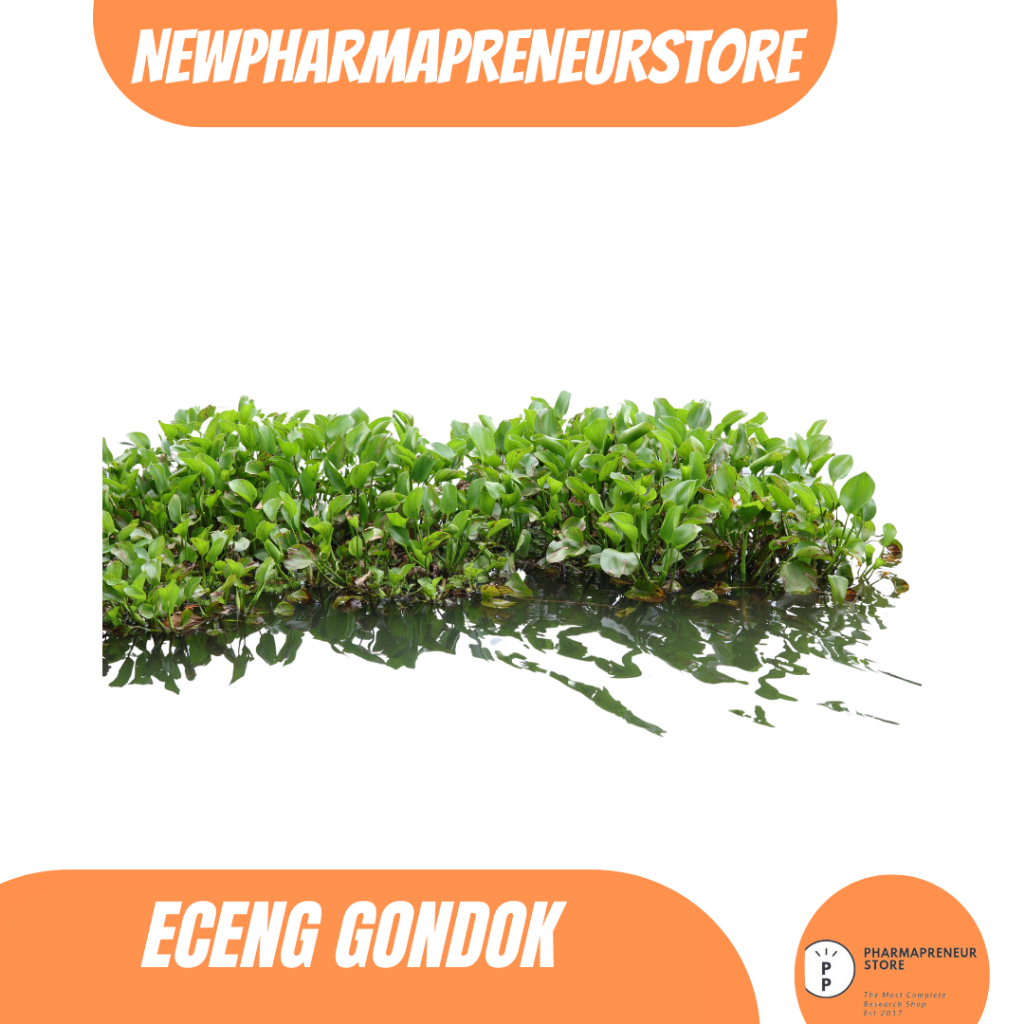 

EKSTRAK ECENG GONDOK BEST QUALITY