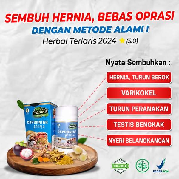 

Caproniar 1 botol – Herbal Alami Kempeskan Benjolan Hernia & Varikokel Tanpa Operasi