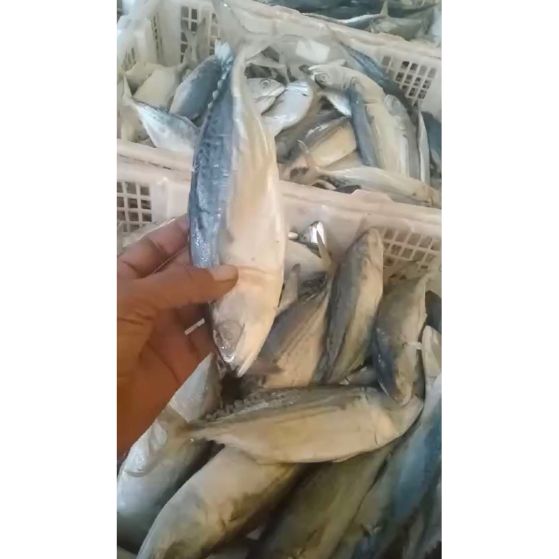 

ikan peda / ikan asin banyar