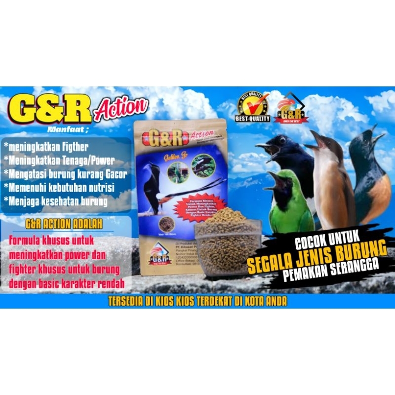 Sco G&R action galileo jr voer kibasari evolution Pakan juara untuk semua jenis burung