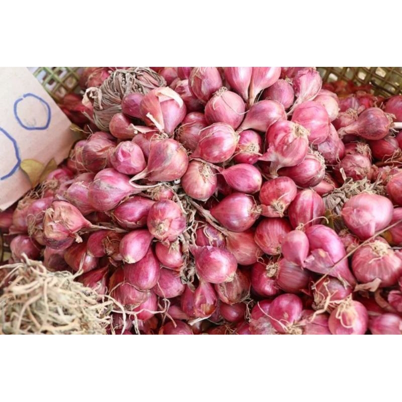 

Bawang merah murah 1 kg / bawang merah premium / bawang merah berebes