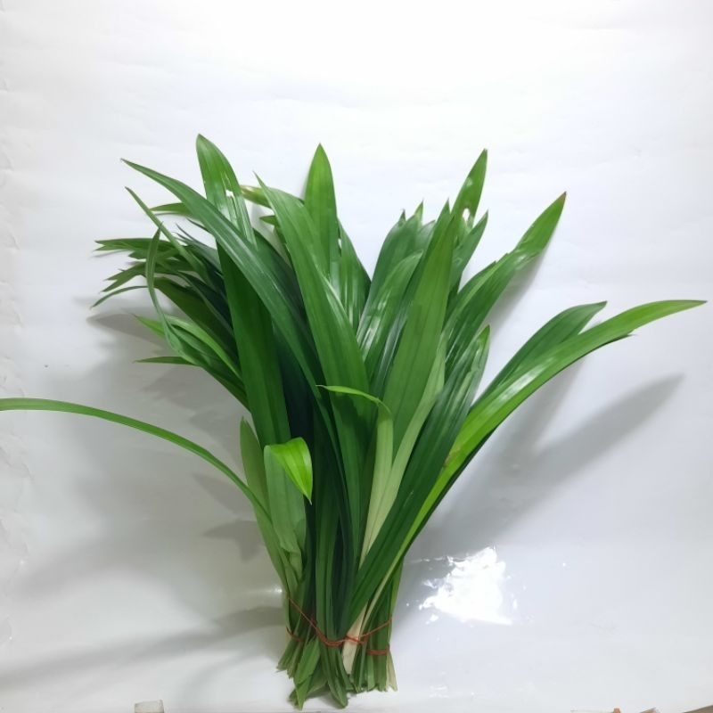 

Daun Pandan wangi 1 iket