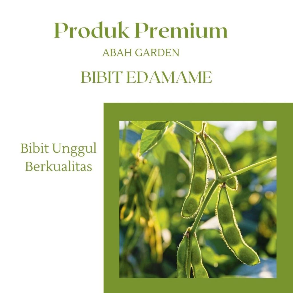 Benih Kacang Edamame Bibit Kacang Edamame Bibit Unggul