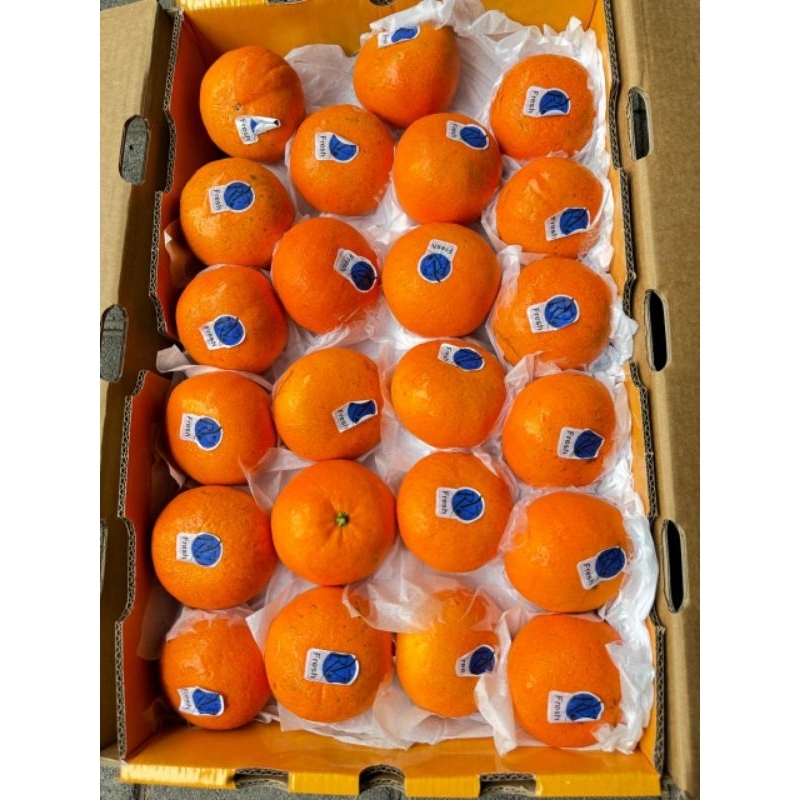 

jeruk wokam/ wogan mandarin manis