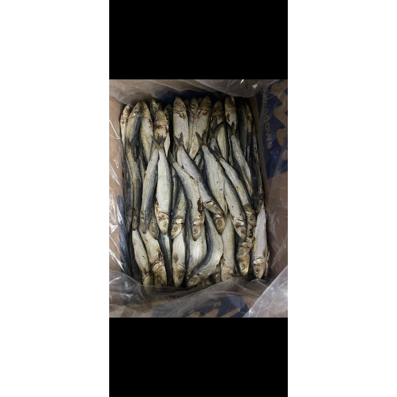 

IKAN ASIN JAPUH SUPER / JAPUH ASIN 1KG