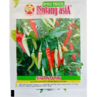 BENIH/BIBIT CABE SIGANTUNG BINTANG ASIA