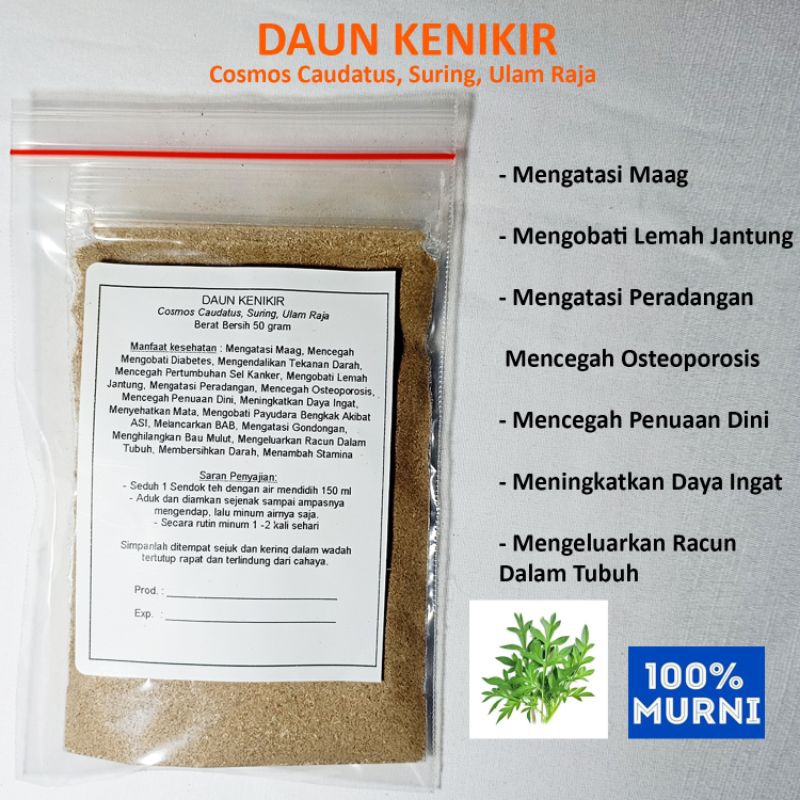 

DAUN KENIKIR Seduh Serbuk Bubuk Mengatasi Maag Osteoporosis Peradangan Gondongan Stamina