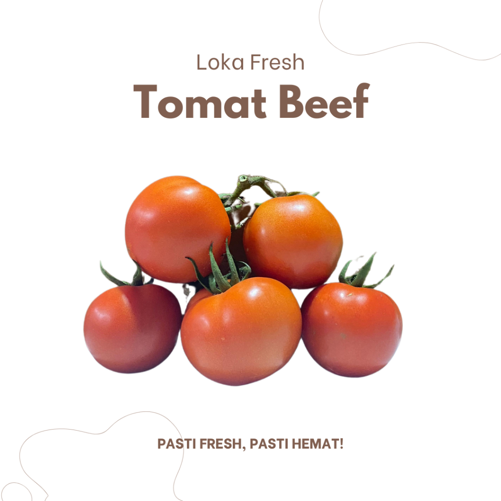 

Tomat Beef / Tomat Jus / Tomat Besar Hidroponik 500gram - Loka Fresh