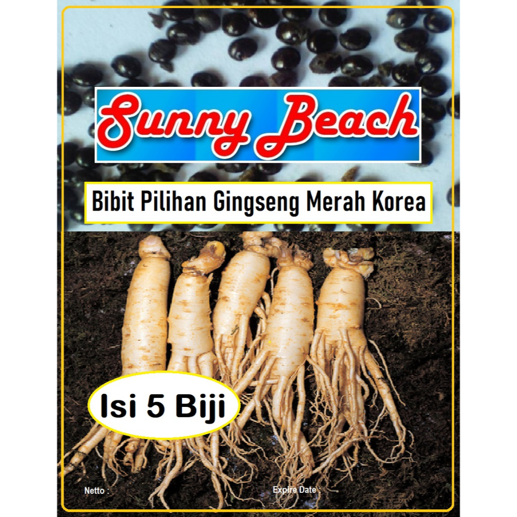 Bibit Pilihan Gingseng Merah Korea | Biji Benih Ginseng Merah Korea