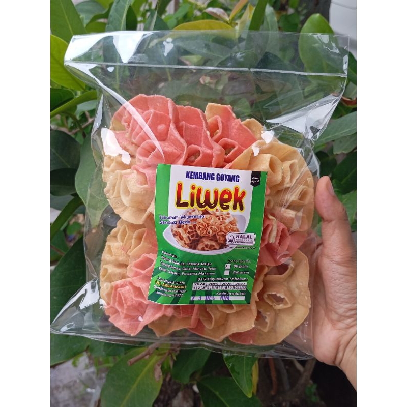 

kembang Goyang/Matahari