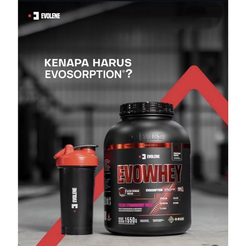 EVOLENE Evowhey WIth Enyzm EVOSORPTION 50 Serving 1650 Gram Whey Protein Blend Concentrate Isolate H