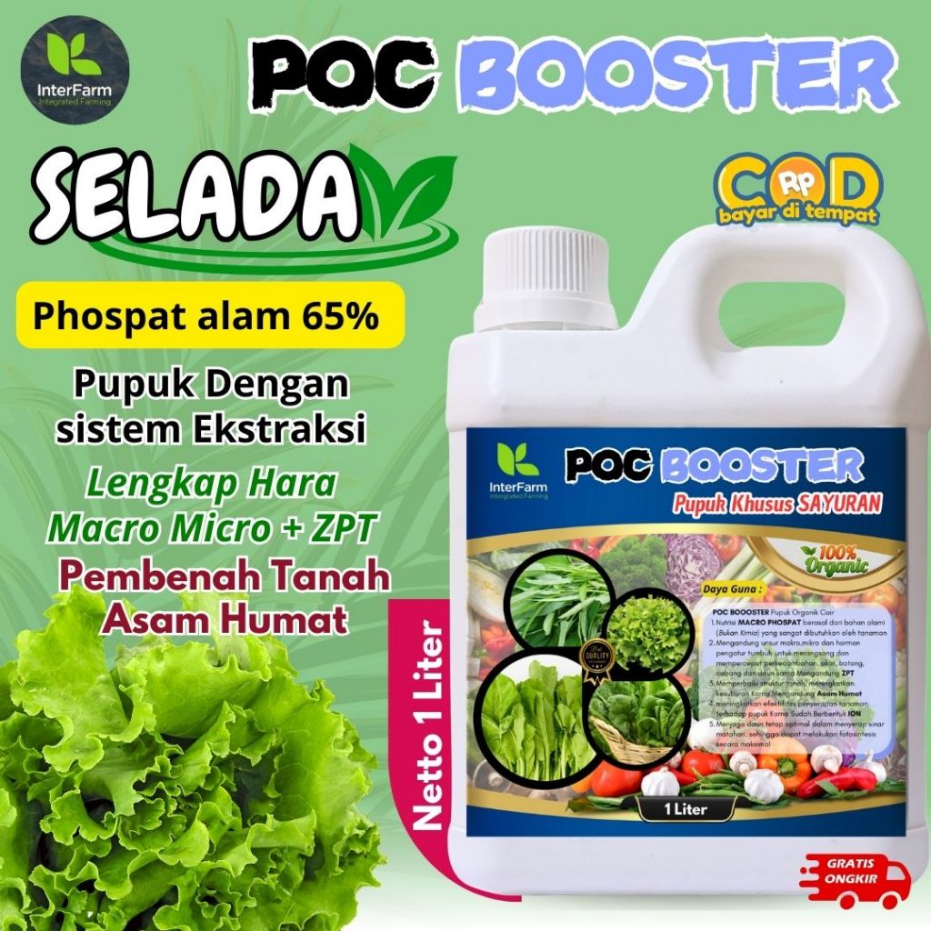 Pupuk tanaman sayuran, Pupuk penyubur tanaman sayuran , Pupuk sayur Selada,Pupuk Selada INTERFARM