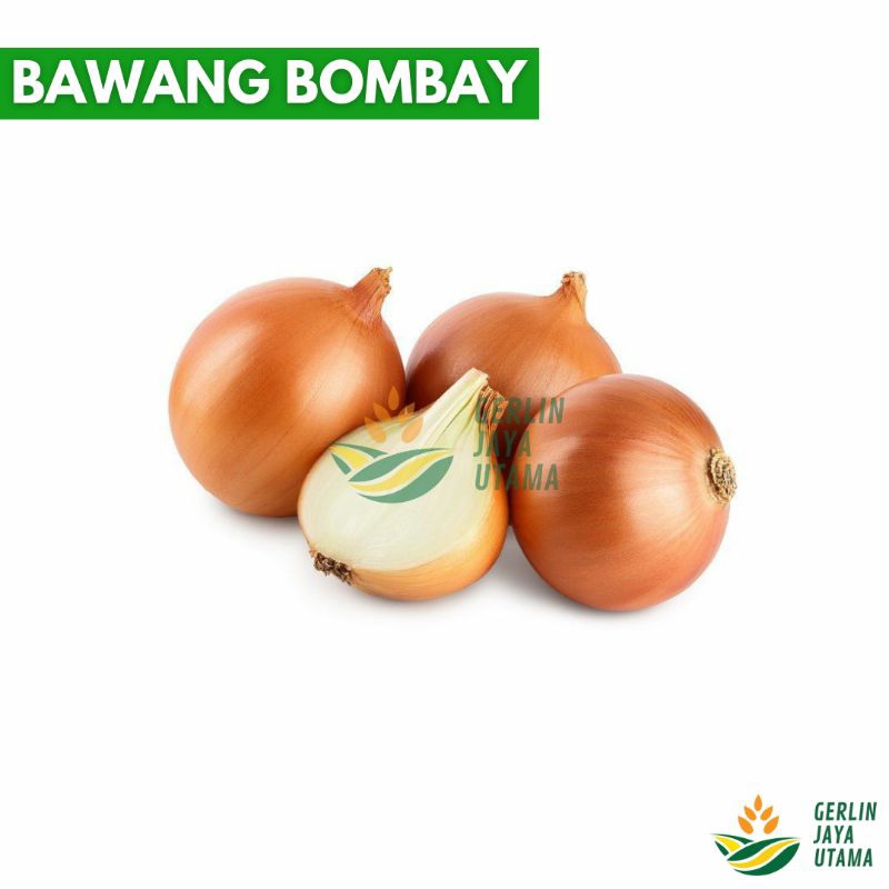 

(500gr) BAWANG BOMBAY // BAWANG BOMBAI // ONION // SAYUR SEGAR // FRESH VEGETABLES