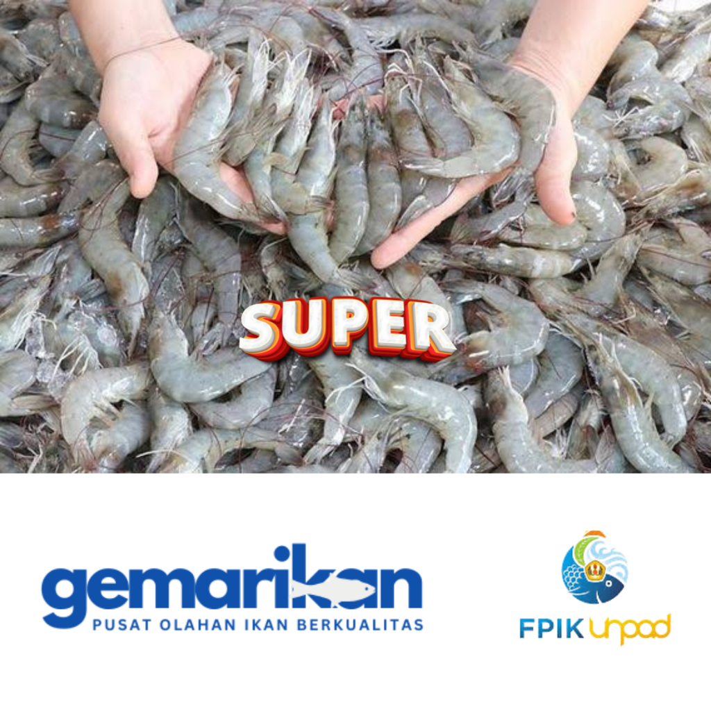 

Udang Vanname SUPER Fresh Segar dan Frozen Berkualitas 500 gram