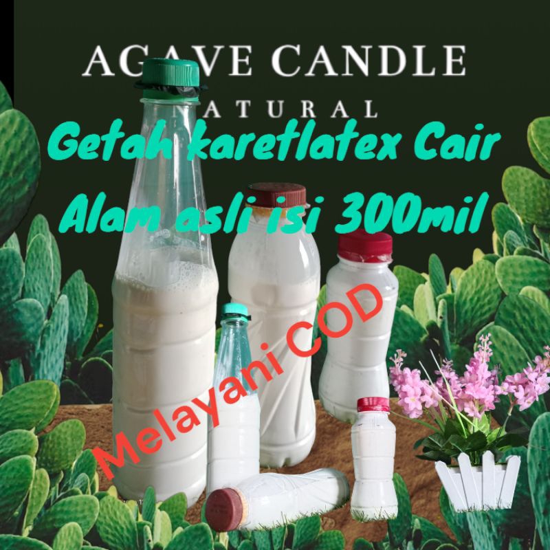 

Getah karet/latex alam asli cair tanpa campuran air isi 300mil