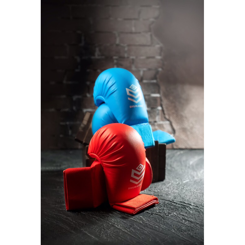 Hand Protector Karate Shukaido