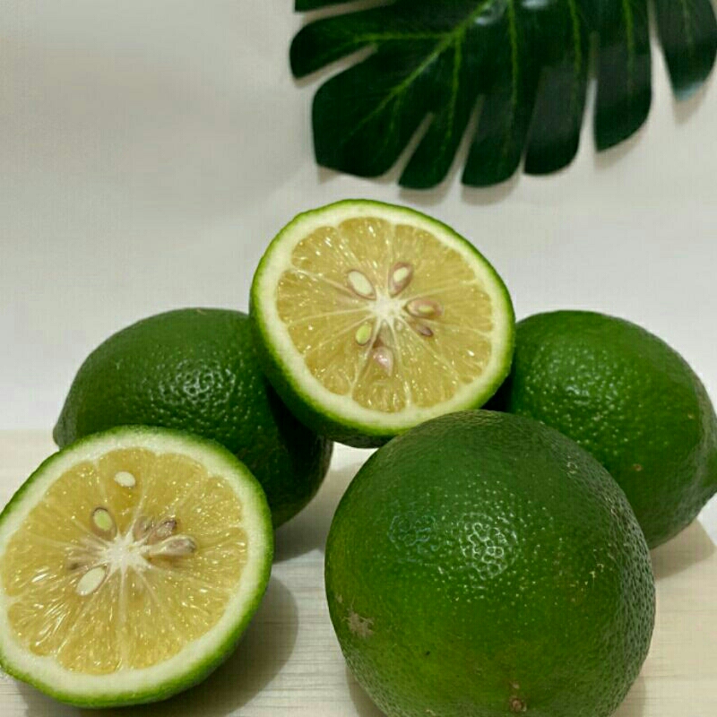 

jeruk nipis harga buat herbal alami 1 kg