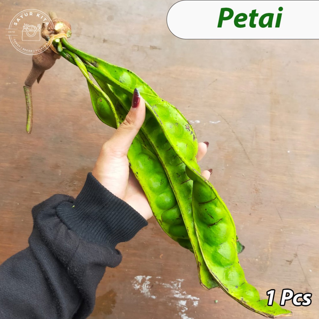 

Petai Tua Super Jumbo Murah 1 pc | sayurkita_id