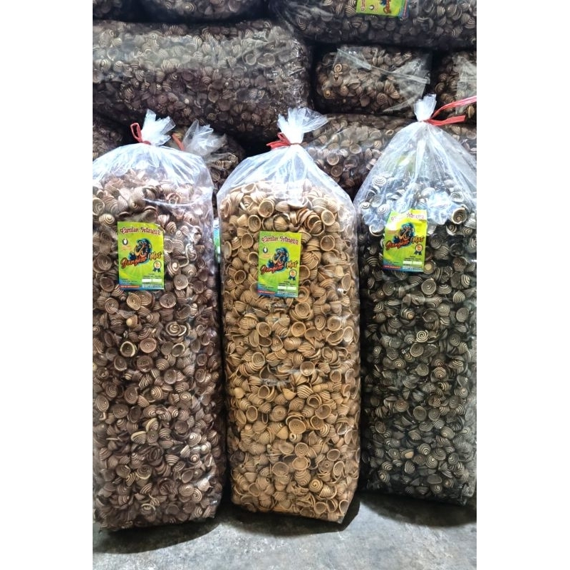 

KUPING GAJAH CONTHONG MINI 1 kg
