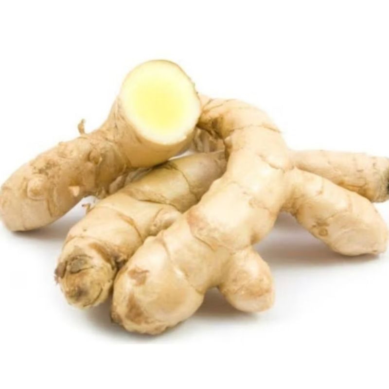 

Temu Putih atau Kunyit Putih fresh 1kg