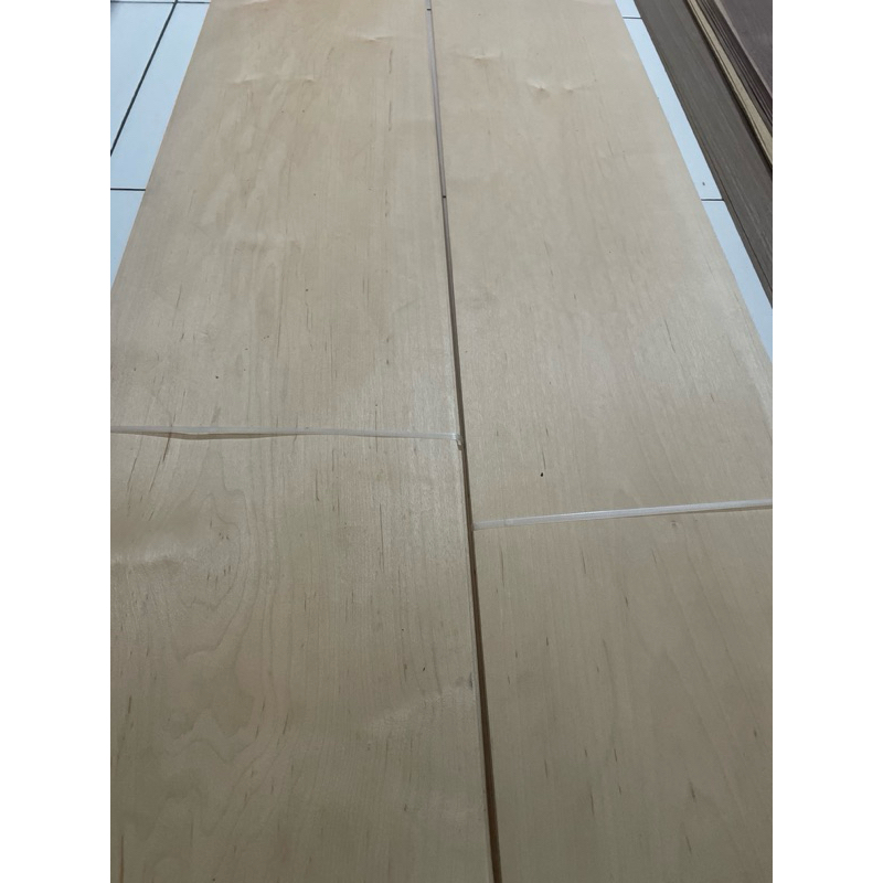veneer kayu maple asli (natural)