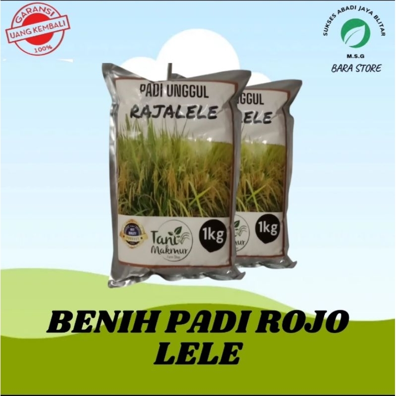 bibit padi rojolele 1kg