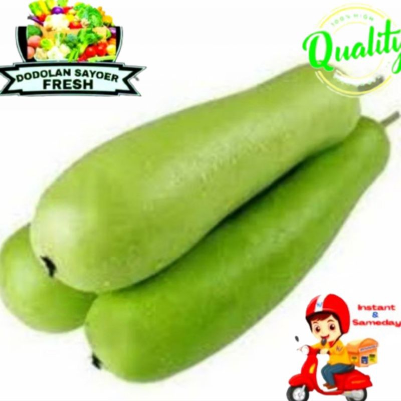

Labu air/labu panjang 1 utuh Fresh pilihan