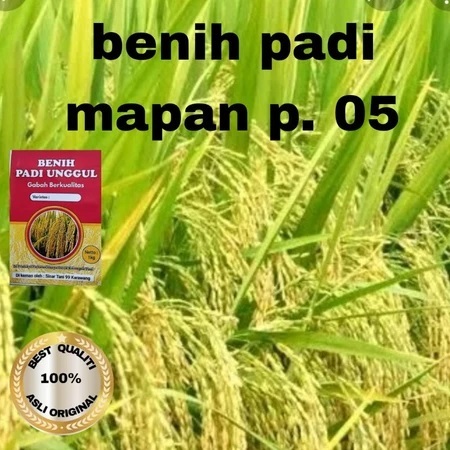 BISA COD>>MAPAN P-05 - 1kg ( benih padi hibrida)