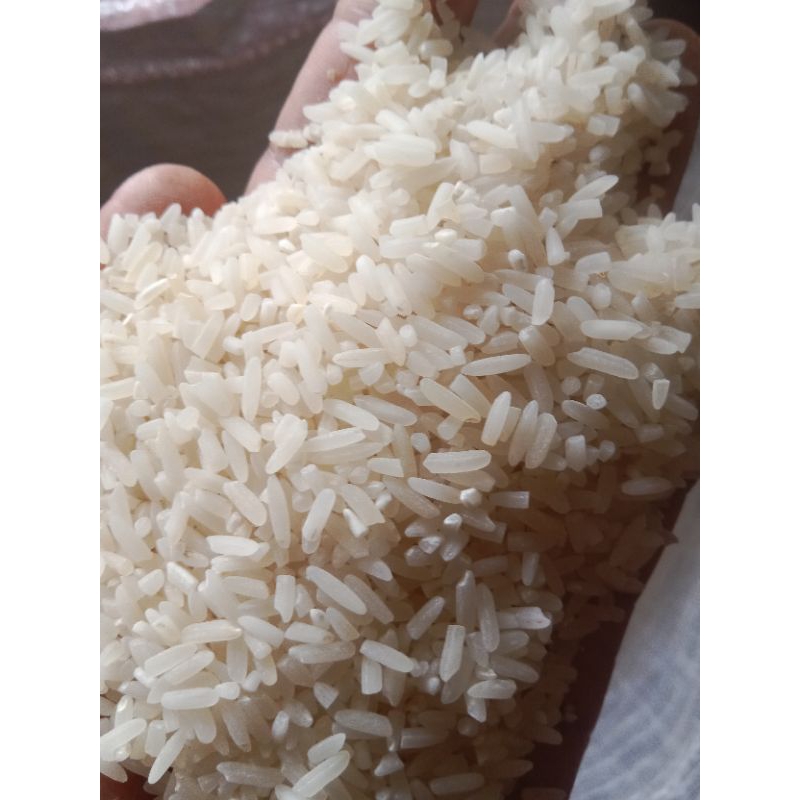 

GROSIR BERAS MADURA, SUPER PULEN DAN MURAH, KEMASAN 5kg, 10kg