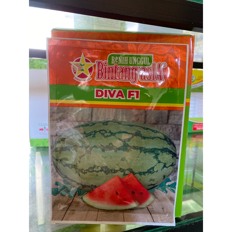 Semangka Diva F1