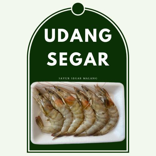 

UDANG BESAR/KECIL SEGAR 250/500GRAM