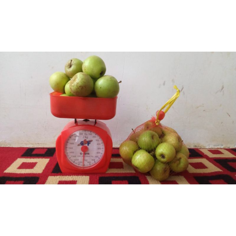 

Apel Manalagi 1kg