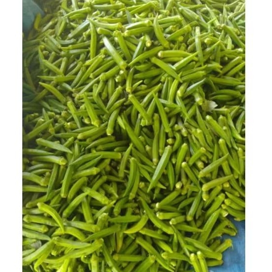 

SAYUR OKRA 1 KG FRESS SEGAR