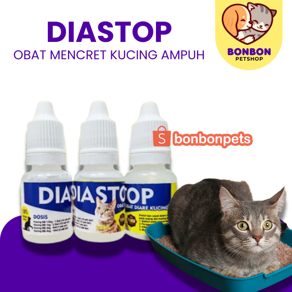 Obat Mencret Kucing Diastop Obat Diare Kucing Obat Berak Darah Kucing DIASTOP