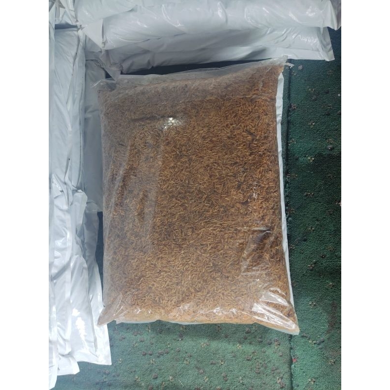 SEKAM PADI SEKAM BAKAR