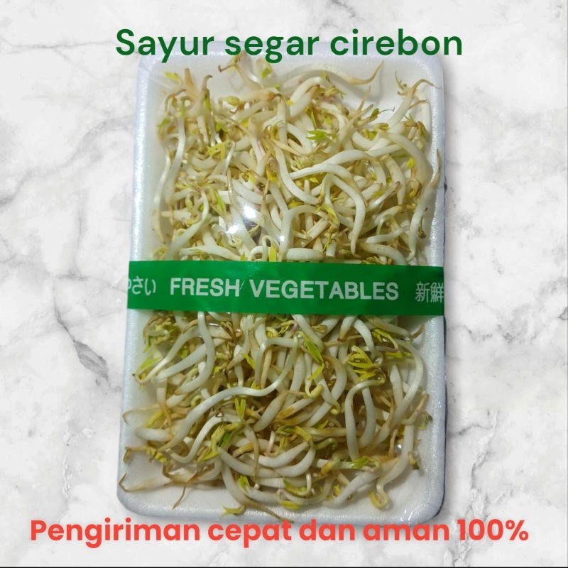 

Toge Sayur Segar Cirebon / fresh vegetable