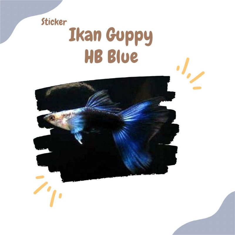 STICKER IKAN GUPPY HB BLUE