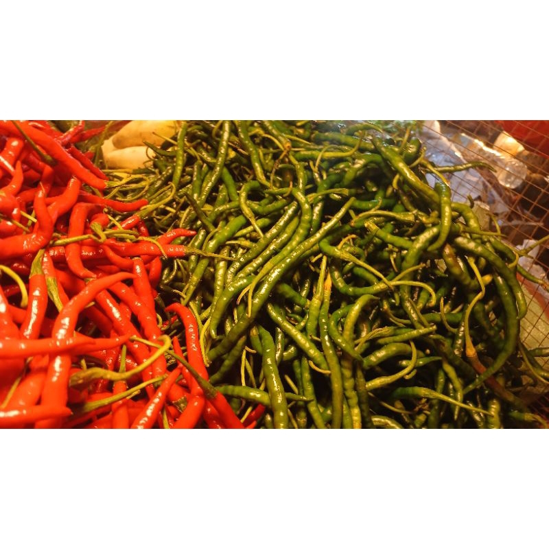 

cabai keriting ijo PROMO HARI INI 1KG