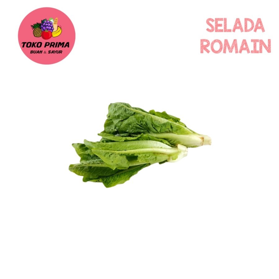 

Sayur Selada Romain / Romen Per 100 Gram