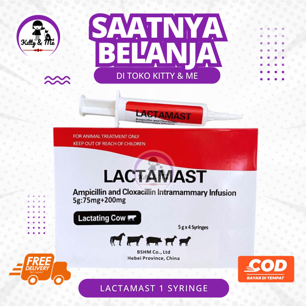 LACTAMAST 1 SYRINGE - Antibiotik Intramammary untuk Pengobatan Mastitis pada Sapi Perah