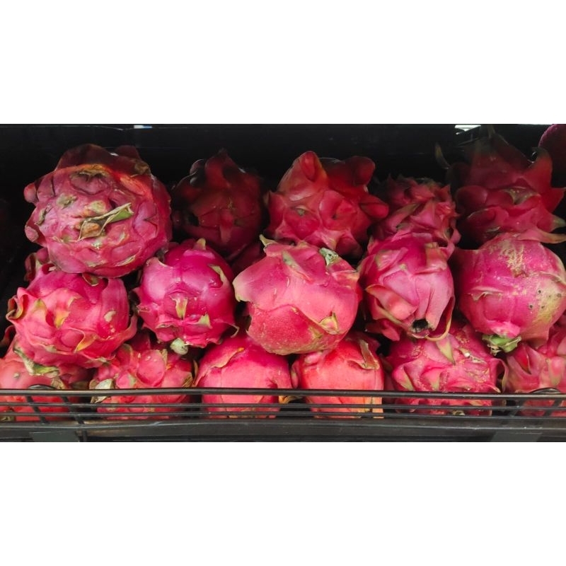 

Buah naga premium fresh dari supermarket