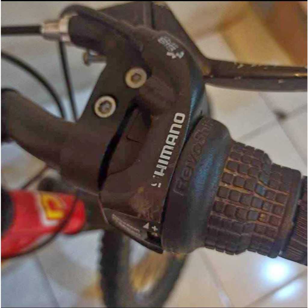 Sepeda MTB anak merk polygon