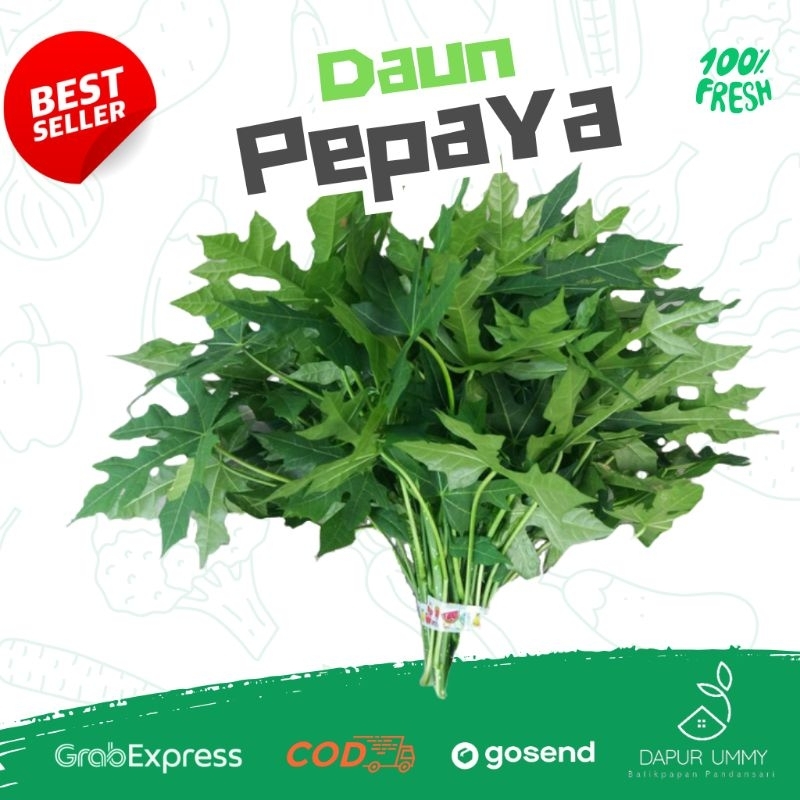 

SAYUR FRESH • Sayur Pepaya per ikat