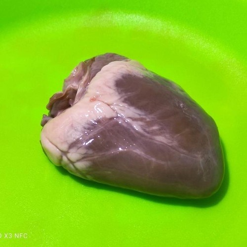 

Jantung kambing lokal segar 1biji 250-300g